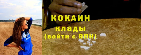 стаф Волоколамск
