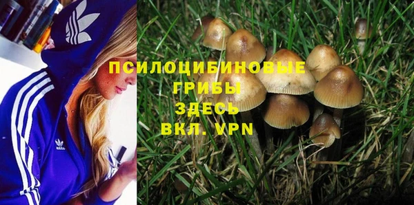 СК Володарск