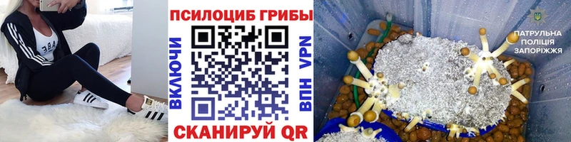 МЕГА ONION  Кемерово  Галлюциногенные грибы GOLDEN TEACHER 