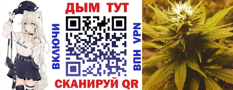 Бошки Шишки планчик Кемерово